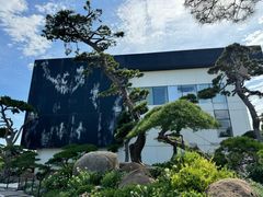 -罗红摄影艺术馆