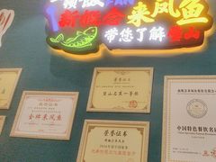 -新概念来凤鱼(璧山店)