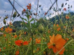 -贵阳市花溪国家城市湿地公园