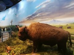 -陕西自然博物馆