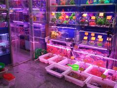 -宝鸡东道花鸟鱼虫市场(吉利花园商场店)