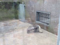 iphone_upload_pic-西安秦岭野生动物园