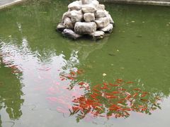 -开元溶洞
