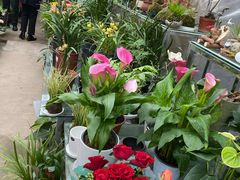 -金陵花卉交易市场