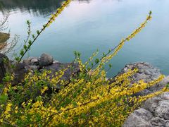 -梅地亚君澜度假酒店俱乐部