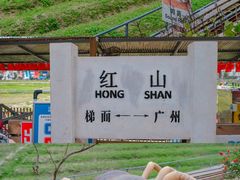 -红山村