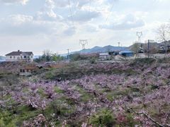 -河口景区