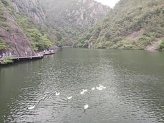 -天台山琼台仙谷景区