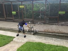 -欢乐松鼠谷
