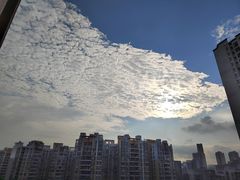 -云溪植物园