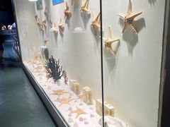 -西安曲江海洋极地公园