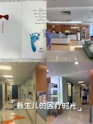 点击看大图 -杭州贝瑞斯美华妇儿医院·早孕·产检·儿科