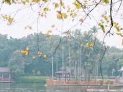 -荔湾湖公园