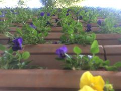 -云南民族大观园