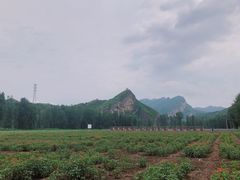 -百里山水画廊-恐龙游乐园