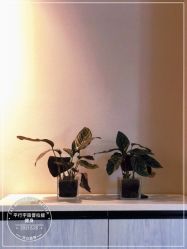 -平行宇宙普拉提健身