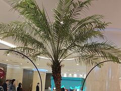 -逸派咖啡 EPARKCOFFEE(广安门店)