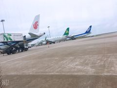 -上海浦东国际机场-T2航站楼