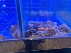 -义乌之心城市生活广场