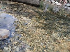-养马峡