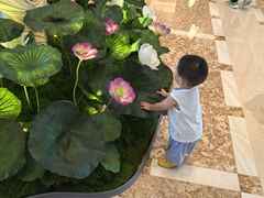 -杭州城中香格里拉大酒店