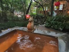 -张家港金凤凰度假村温泉
