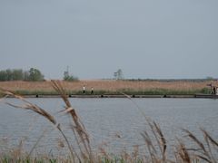 -盐城丹顶鹤湿地生态旅游区