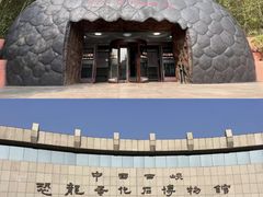 -中国西峡恐龙遗迹园