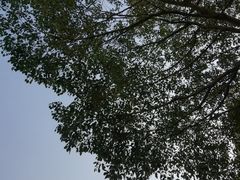 -云洞岩风景区