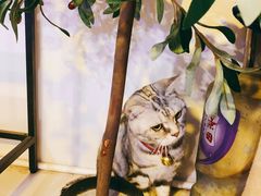 -平行世界·猫咖(首经贸店)