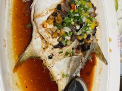 豆酱蒸白鲳鱼-79号渔船海鲜饭店(华强北店)