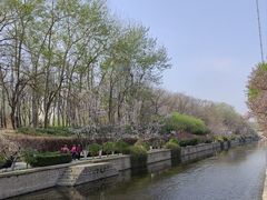 -元大都城垣遗址公园