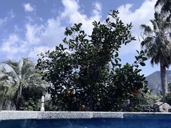 -济州山房山碳酸温泉