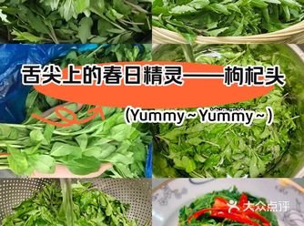 舌尖上的春日精灵——枸杞头