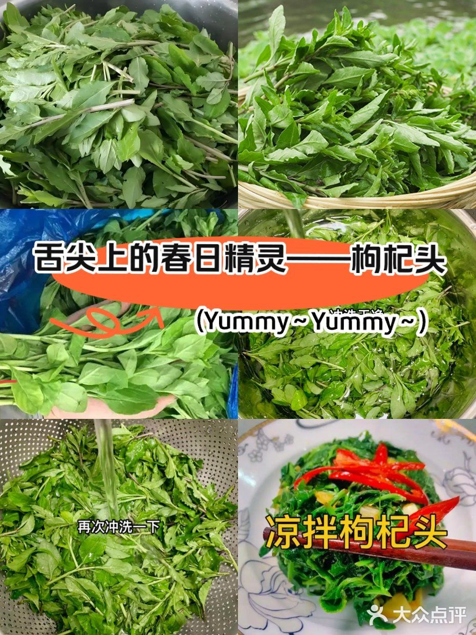 舌尖上的春日精灵——枸杞头