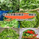 舌尖上的春日精灵——枸杞头