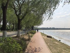 -丁香湖公园