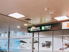 -厦门高崎国际机场-T3航站楼