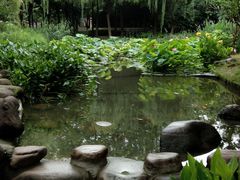 -陈家山荷花公园