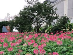 -中国香山·寿香谷