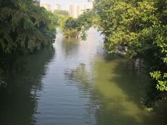 -青枫公园