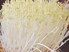 -伴山茶苑·一盏冰茶·半日山居