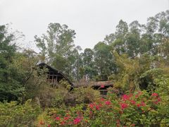 -深圳国际园林花卉博览园