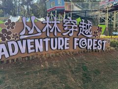 -东部华侨城