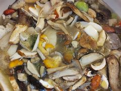 -山菌美食苑(振兴路店)