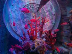 -沈阳海洋探索中心