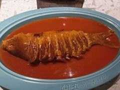 -阿五黄河大鲤鱼(英协路店)