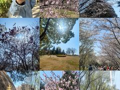 -白塘生态植物园