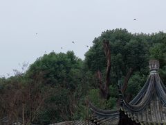 -龙潭水乡