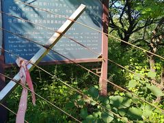-妙峰山风景名胜区